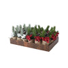 Decoris art Pièce de Noël en pot de jute ø5xh15cm
