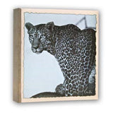 Zep WL57100 Album Slip-in 100 photos 13x19 cm 12 albums - afbeelding 1