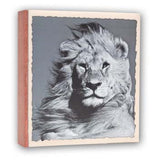 Zep WL57100 Album Slip-in 100 photos 13x19 cm 12 albums - afbeelding 2