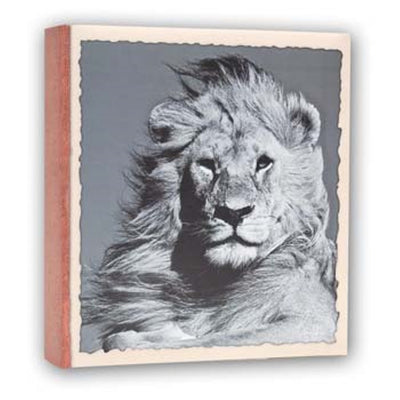 Zep WL57100 Album Slip-in 100 photos 13x19 cm 12 albums