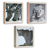 Zep WL57100 Album Slip-in 100 photos 13x19 cm 12 albums - afbeelding 4