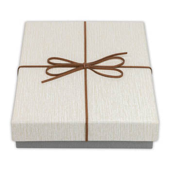 Box de rangement ZEP BX3514A BOX PIACENZA A 15.3X21.4X4