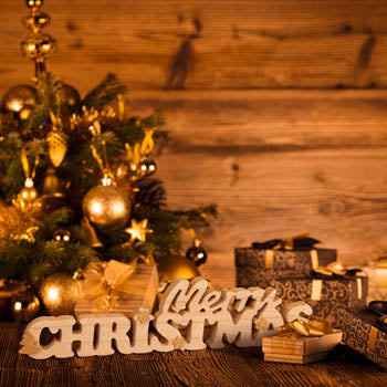 Zep Christmas Kevin VP87en et 42x2,5 H9,5 cm