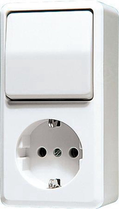 Jung ap600 prise interrupteur combiné ra blanc alpin - 676aww - e3dn2