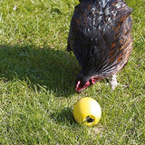 Poulet sauvage jouer au poulet amusant - afbeelding 3