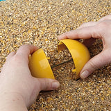 Poulet sauvage jouer au poulet amusant - afbeelding 4