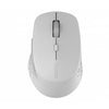 Souris Rapoo mm gris clair m300