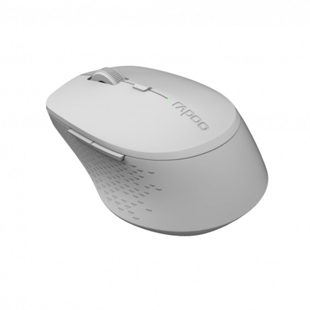 Souris Rapoo mm gris clair m300