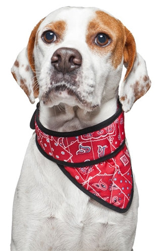 Aqua coolkeeper bandana aqua coolkeeper rouge western