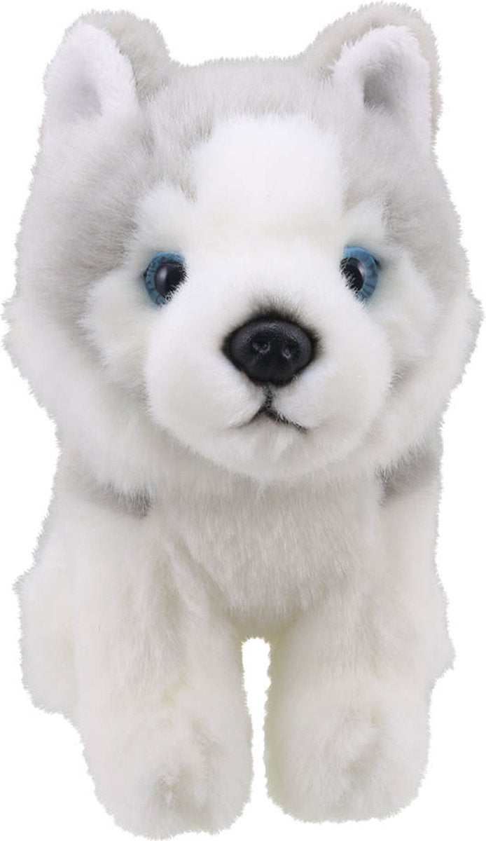 The Puppet Company Marionnette à main Husky Peluche Jouet éducatif.