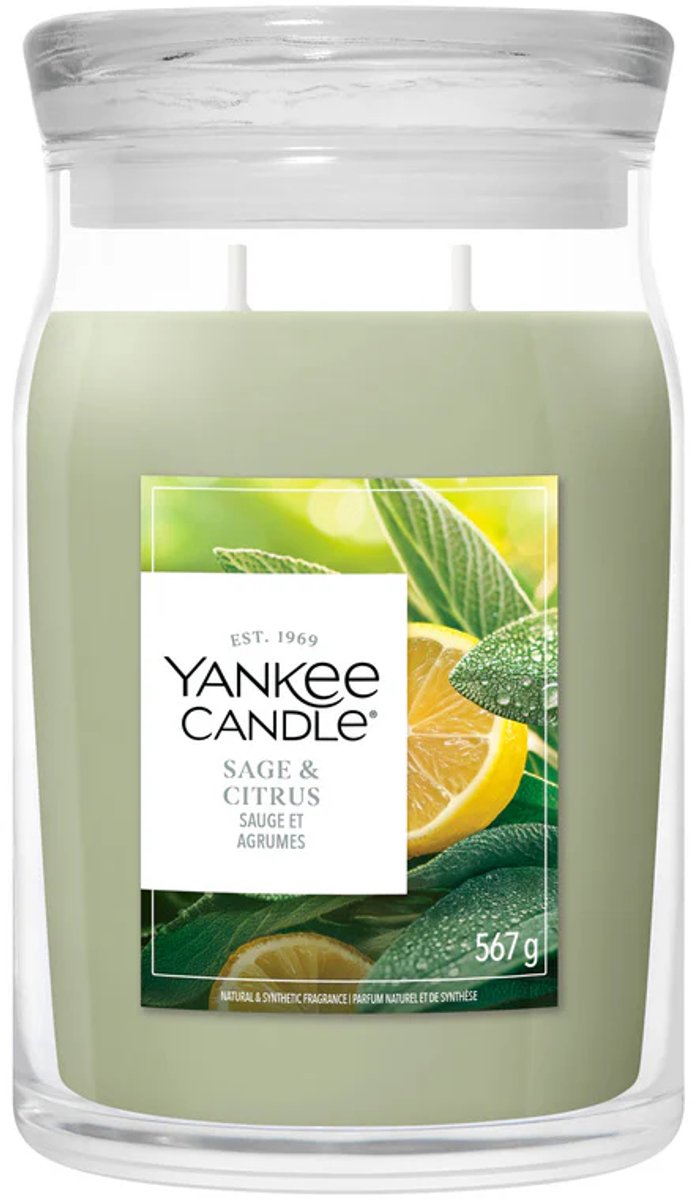 Bougie Yankee - bougie parfumée en grand pot à la sauge et aux agrumes - 90 heures de combustion - deux mèches