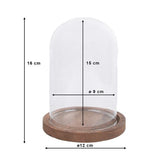 Clayre EEF Clayre EEF 6GL1944 STOLP transparent 12x16 cm - afbeelding 2