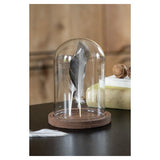 Clayre EEF Clayre EEF 6GL1944 STOLP transparent 12x16 cm - afbeelding 3