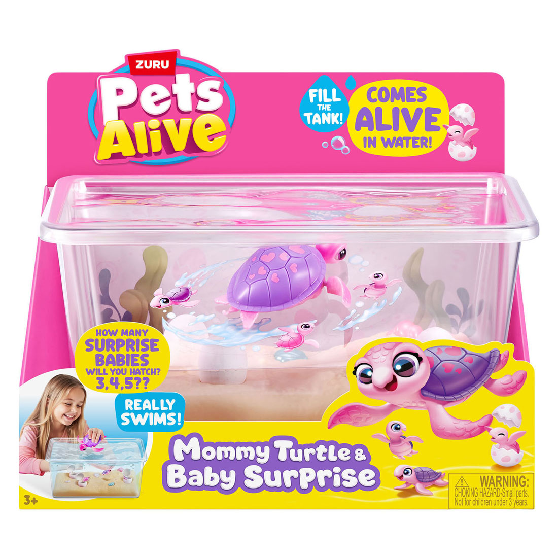 Animaux de compagnie vivants maman tortule surpasser