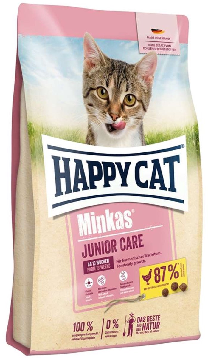 Chat heureux