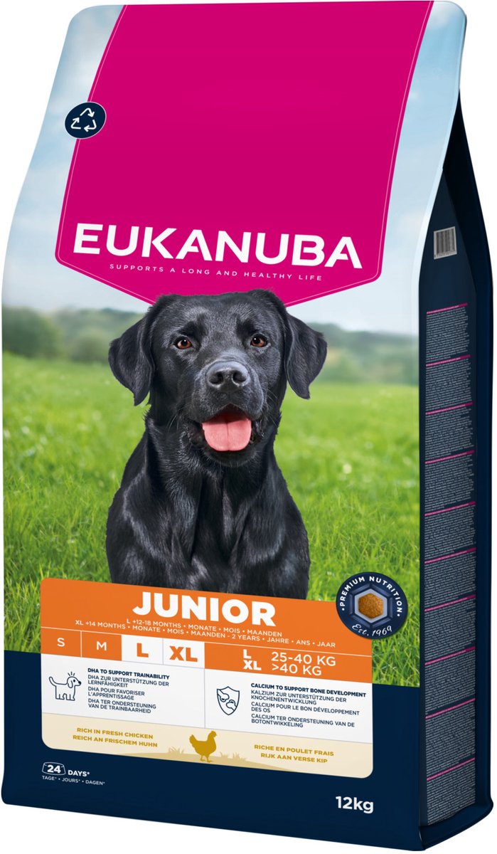 Eukanuba junior grande race poulet - nourriture pour chien - 12 kg