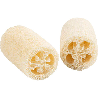 Creativ company éponge luffa naturelle, l: 10 cm, d 5,5-8 cm, naturel clair, 2 pièces 1 boîte