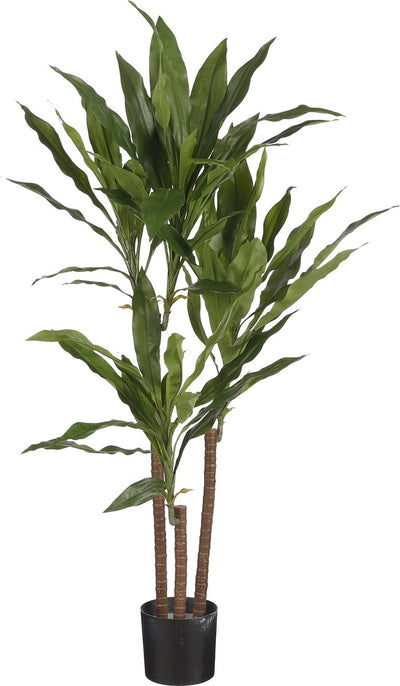 Mica décorations plante artificielle - dracaena - vert - en pot - 100 cm - plantes artificielles fausses plantes