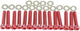 TNT Vis Set Engine Cover Piaggio 50 Red
