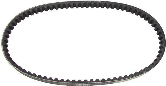 Gates V-cell-celtre V-Beldts 17x769 mm