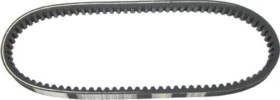 Gates V-cell-celteur V-Beldts 16x685 mm