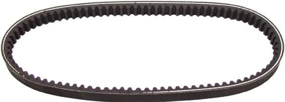 Portes en V-ceinture en V-Belts 15,3x652 mm