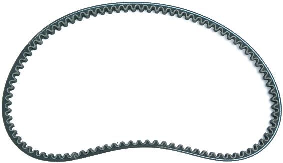 Gates V-cell-celteur V-Beldts 20x835 mm