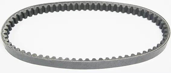 Courroies trapézoïdales standard Spec-x 18x669 mm