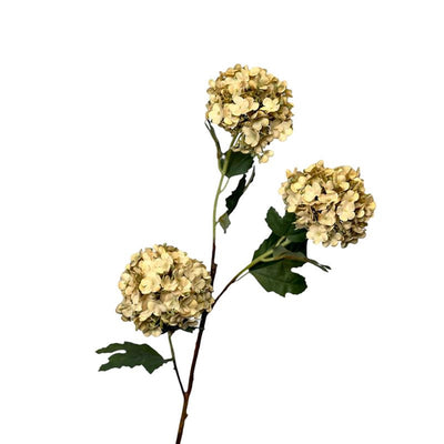 Roberts collection boule de neige fleur artificielle 90cm crème