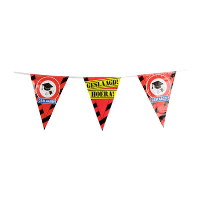 Ligne de drapeaux de fête Paperdreams - réussie