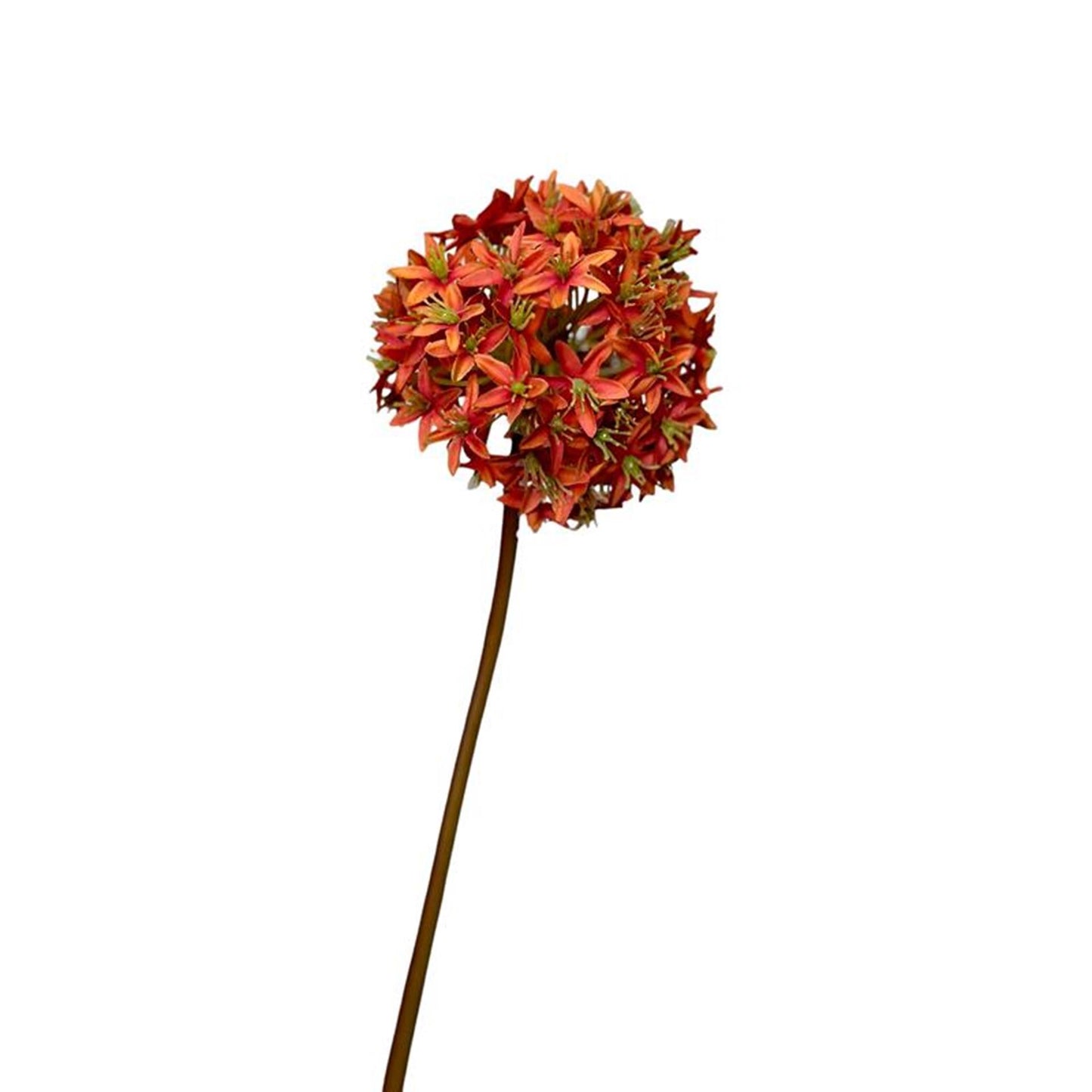Roberts collection fleur artificielle bulbe d'allium 60cm orange