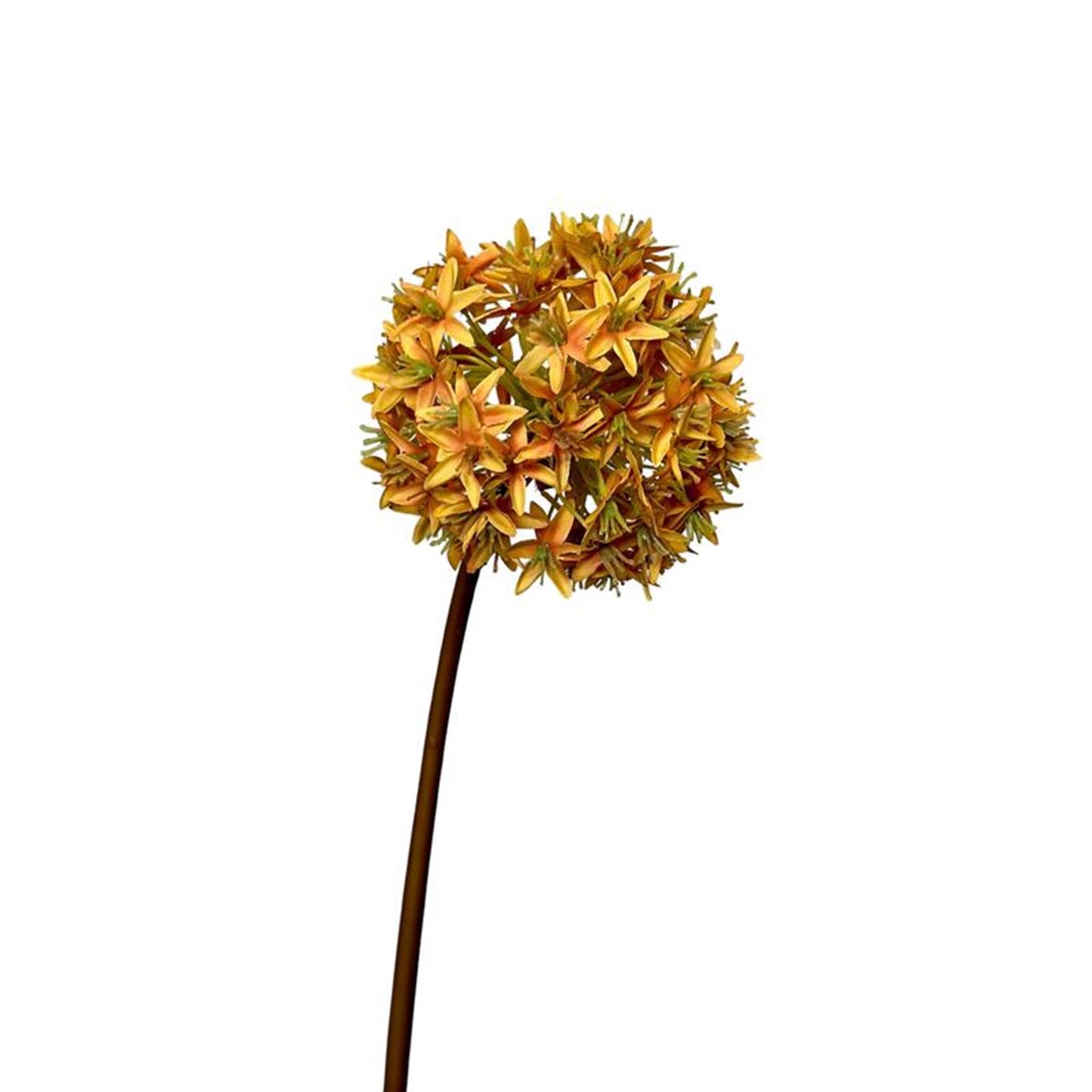 Roberts collection fleur artificielle bulbe d'allium 60cm jaune ocre