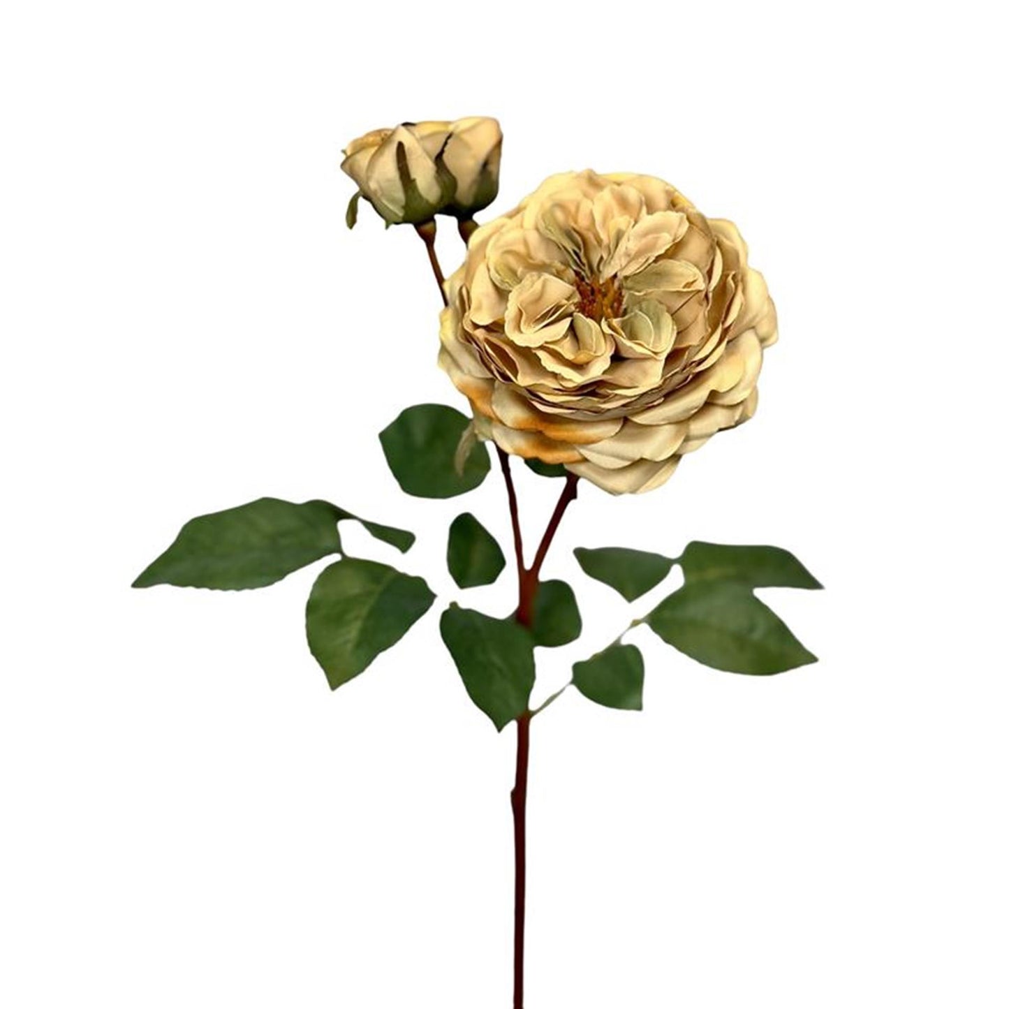 Roberts collection fleur artificielle rose 55cm crème