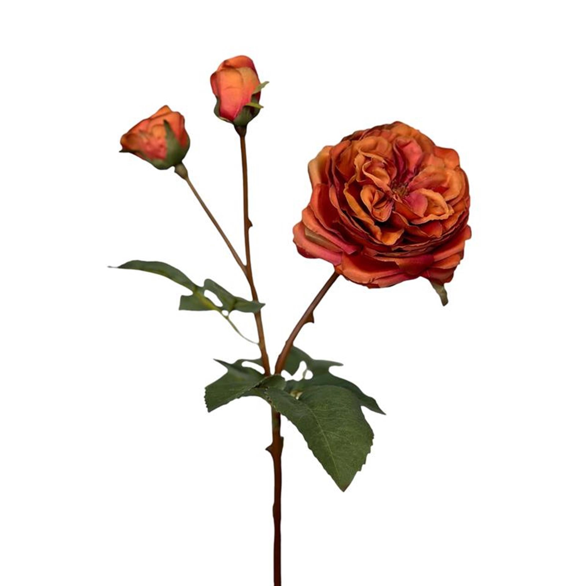 Roberts collection fleur artificielle rose 55cm orange