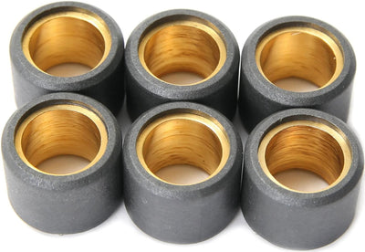Vicma jeu de noyaux de rouleaux de poids de variateur 19x13,5, 10 gr, 6pcs, 4177