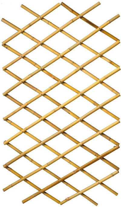 Nature Nature latwerk pour jardin 70x180 cm BAMBO 6040721