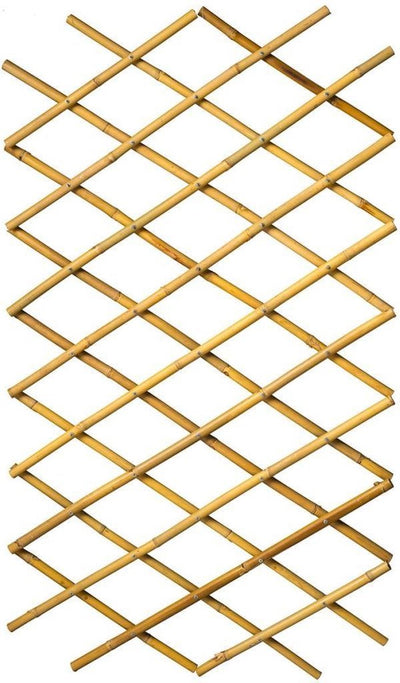 Nature Nature latwerk pour jardin 45x180 cm BAMBO 6040720