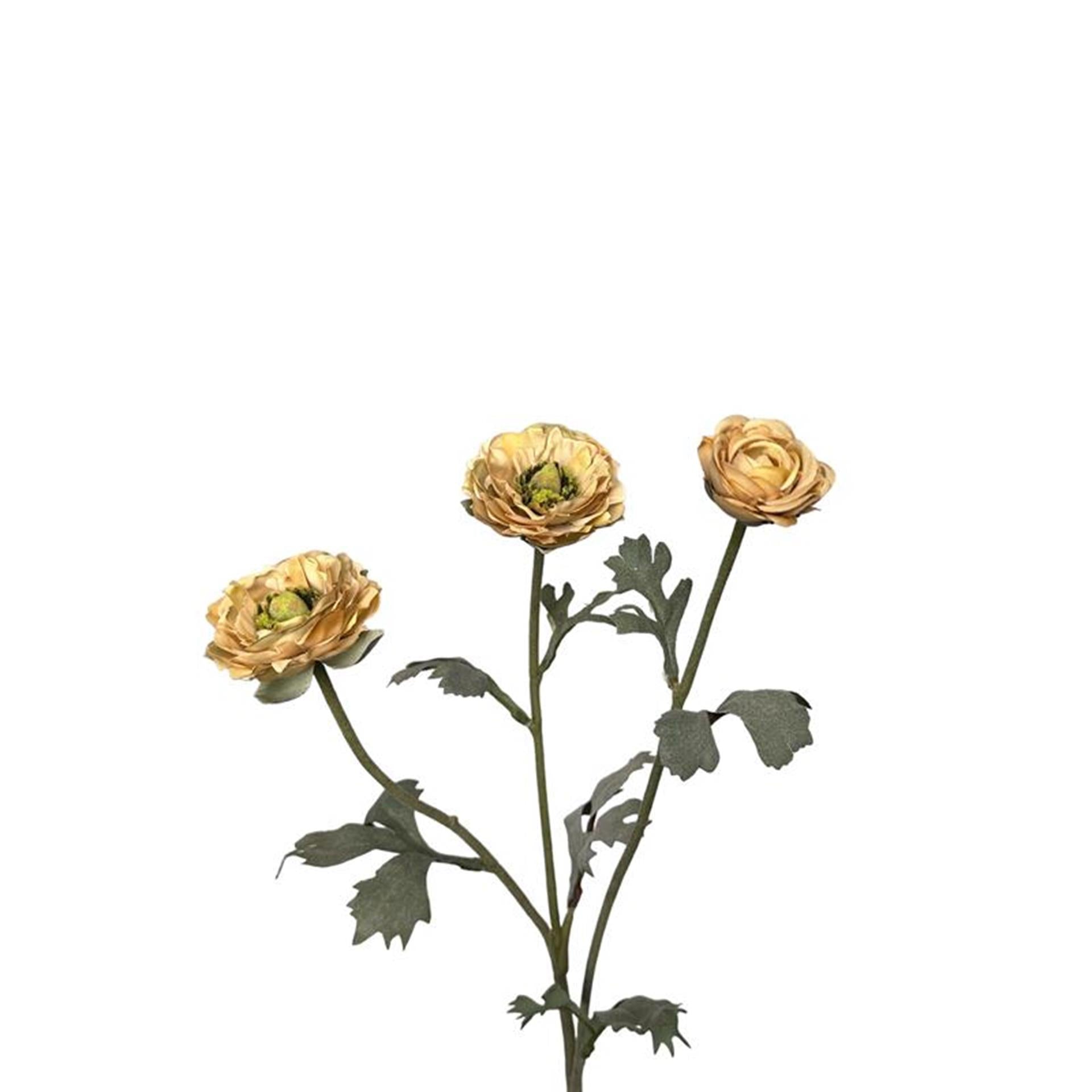 Roberts collection fleur artificielle renoncule 48cm crème