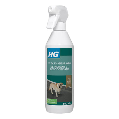 Hg tache odeur loin chien