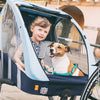 Bellelli Kinder Fietskar 2 en 1 Trailblazer
