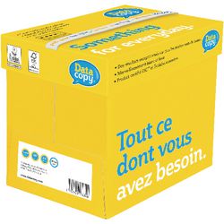 Copie de données papier professionnel 80g m2 a4 170 cie blanc brillant