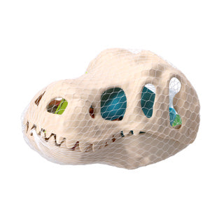 Dino de plage