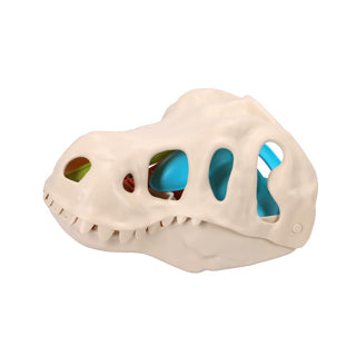 Dino de plage