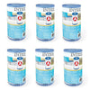Cartouche filtrante Intex 29000 Type A 6 pièces pour piscine 244 305 366 cm