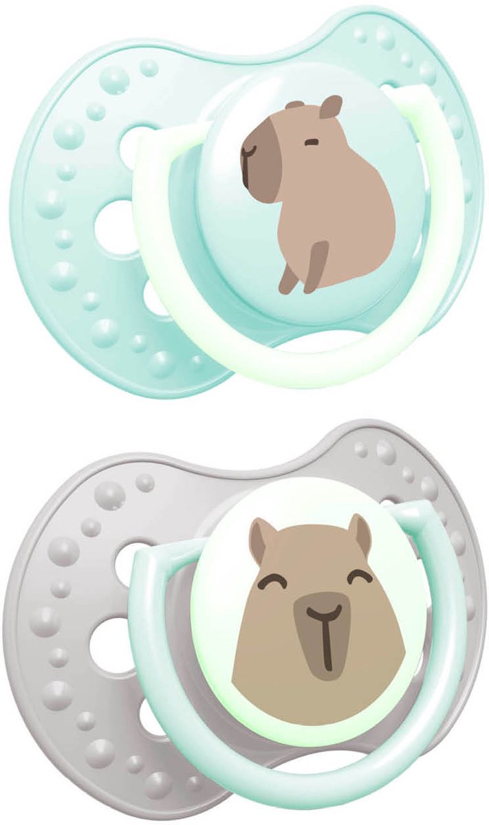 Difrax lovi sucette dynamique - classe - 0 à 6 mois - capybara - gris vert - 2 pièces