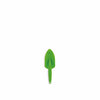 Shir Plants 27cm 4 Assorti