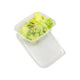 Récipient + couvercle transparent pp 108 x 27 mm (250x 125cc)