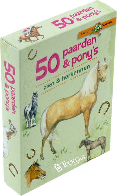 Histoire usine expédition nature 50 chevaux voir et reconnaître les poneys