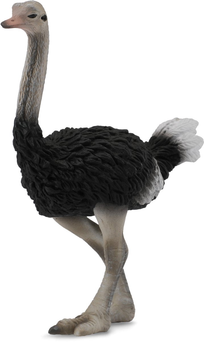 Figurine Collecta - autruche - (l) - animaux sauvages - peint à la main - miniature