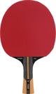 Dunlop - raquette de tennis de table - évolution 1000